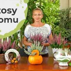 Wrzosy w domu: przesąd o pechu czy piękna ozdoba?