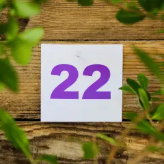 Liczba Mistrzowska 22 - Numerologia 22 - Znaczenie i Wpływ