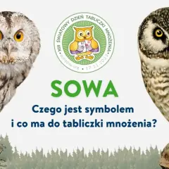 Czy sowa przynosi szczęście? Odkryj jej symbolikę i znaczenie