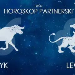 Byk i Lew: Dopasowanie, Miłość, On Byk, Ona Lew