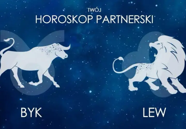 Byk i Lew: Dopasowanie, Miłość, On Byk, Ona Lew