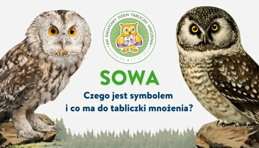 Czy sowa przynosi szczęście? Odkryj jej symbolikę i znaczenie
