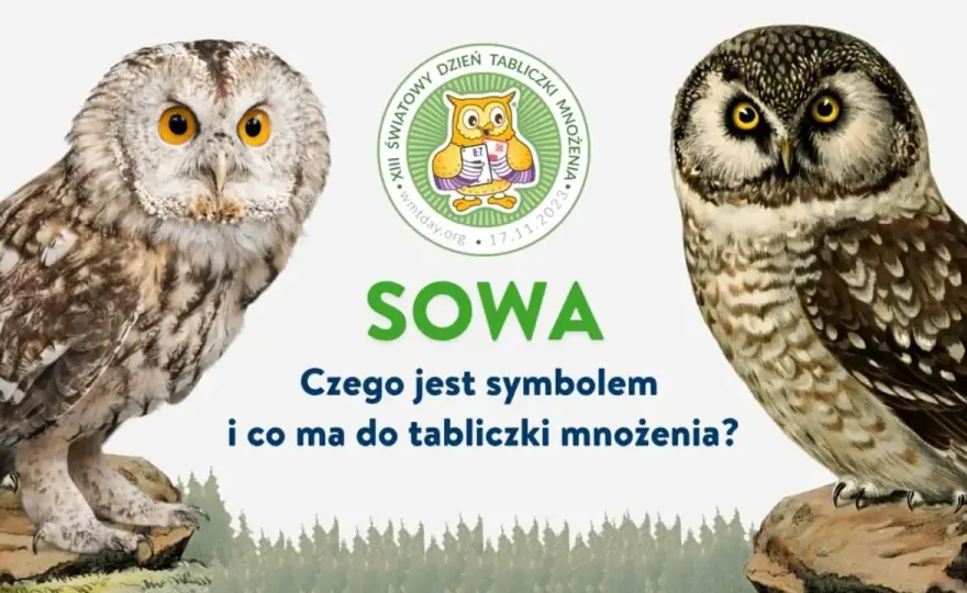 Czy sowa przynosi szczęście? Odkryj jej symbolikę i znaczenie