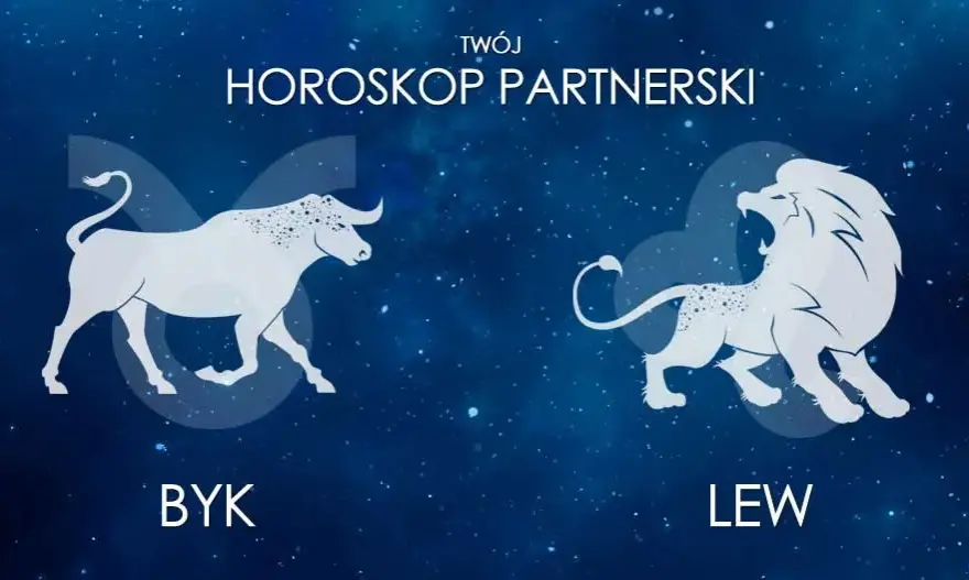 Byk i Lew: Dopasowanie, Miłość, On Byk, Ona Lew