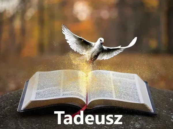 Imię Tadeusz: znaczenie, pochodzenie, charakter